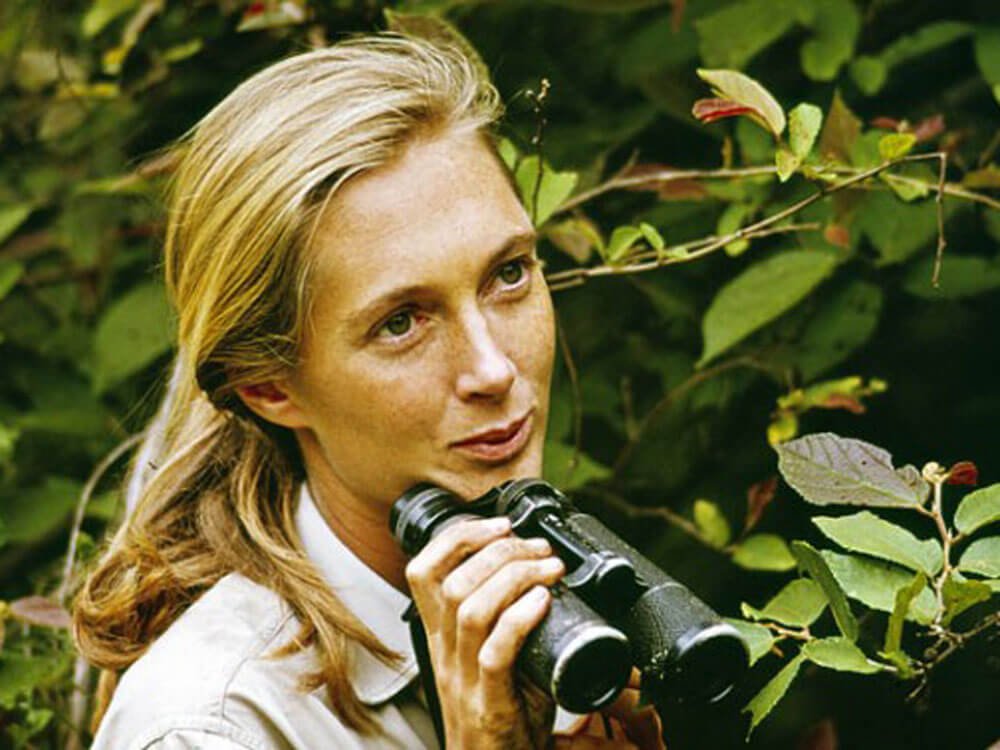 Biography of Jane Goodall- Scientist